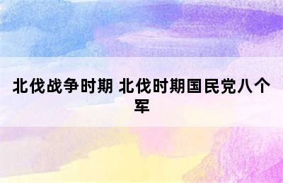 北伐战争时期 北伐时期国民党八个军